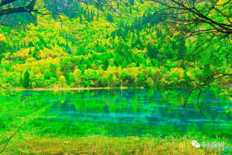缤纷水果茶无敌版