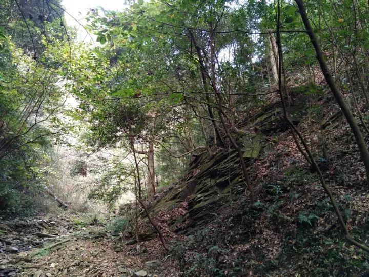 苹果菠萝笔3