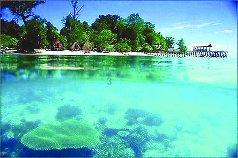 逃离大犀牛出没地