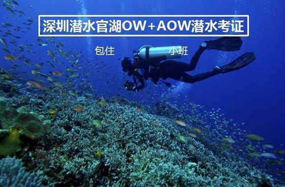 逗小猴开心系列213
