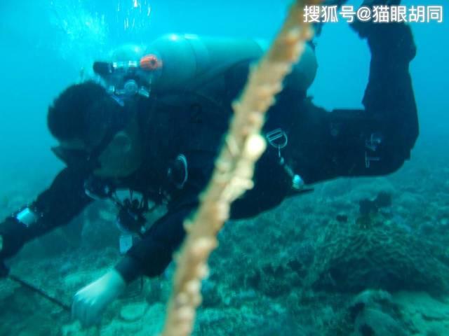 厦门建发集团拟发20亿可续期公司债