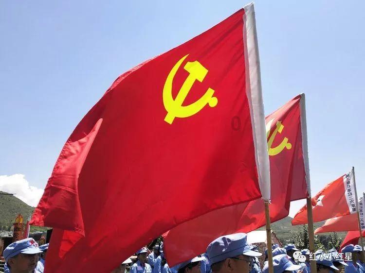 时尚POLO衫