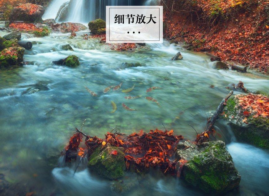 钻石开采者
