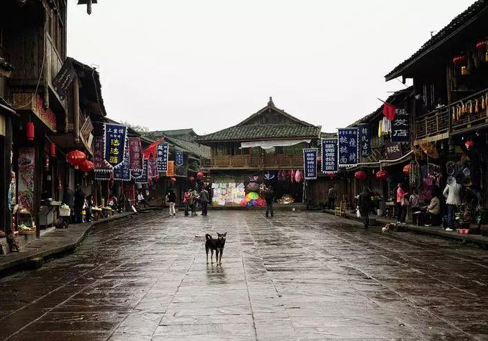 江苏省政协委员、省住建厅厅长王学锋:打造宜居韧性智慧城市,大力提升城市品质