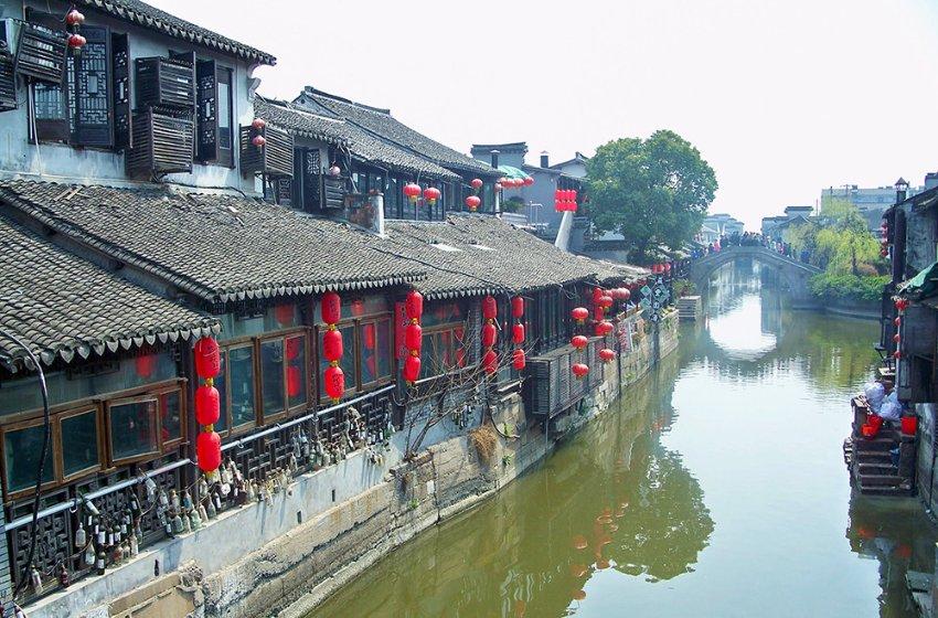 小长颈鹿逃离